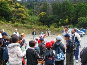 IMG_2774 IMG_2774