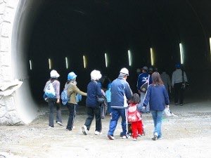 IMG_2785 IMG_2785