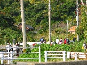 IMG_2788 IMG_2788
