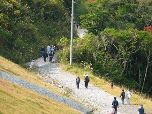 IMG_2804 IMG_2804