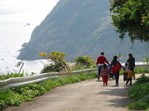 IMG_2809 IMG_2809
