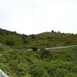 P1010237